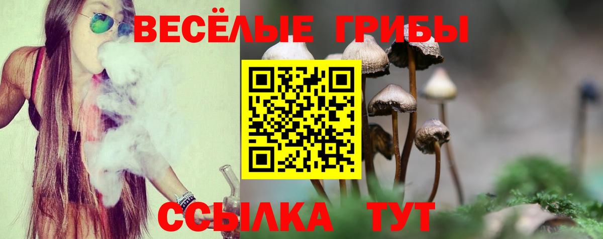 Псилоцибиновые грибы Cubensis Севастополь